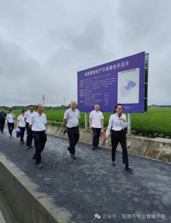 常德市康都物業(yè)服務(wù)有限公司,常德保安服務(wù)公司,保潔服務(wù),墻外高空清洗服務(wù)