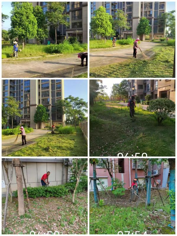 常德市康都物業(yè)服務有限公司,常德保安服務公司,保潔服務,墻外高空清洗服務